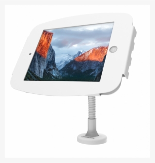 Computer Monitor
