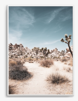 Joshua Tree - Picture Frame
