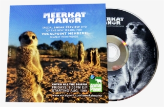 Blu-ray Eco Wallet 2 Panel - Meerkat Manor
