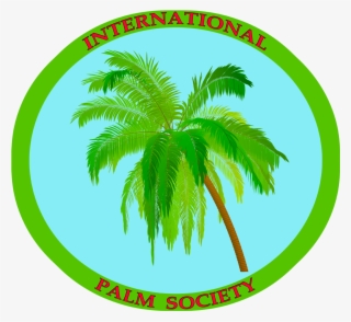 Blue1280-3 - Attalea Speciosa