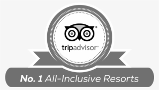 Chat - Trip Advisor