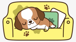 Dog Nap On Sofa - Dog