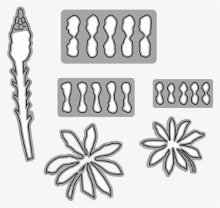 Lupine - Pallet Jack