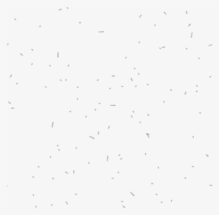 City Street Rubbish Cigarette Butts - Monochrome