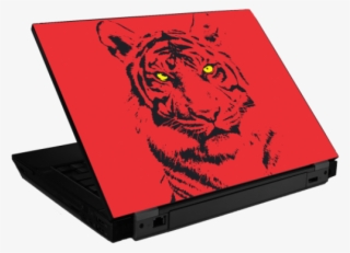 Tiger Eyes - Siberian Tiger