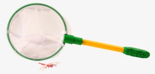 Butterfly Net - Tennis Racket