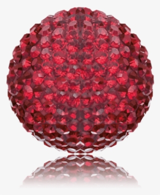 Gerbera Pomponi Black Pearl