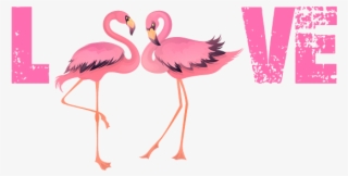 Bleed Area May Not Be Visible - Greater Flamingo