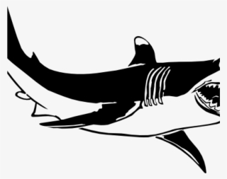 Shark Clipart Black And White Shark Clipart Black And - Shark And The Goldfish Quotes