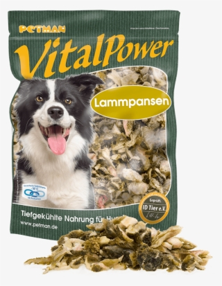 Star Fox Zero Stern Flügel Team Logo Grau Portemonnaie - Companion Dog