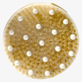 Daily Detox Massage Brush Daily Concepts Luxury Spa - Circle