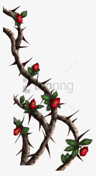 Free Png Download Rose Thorns Png Images Background - Thorn Vine