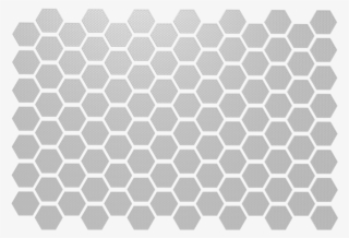Bee Clipart Black And White - Bee Coloring - 600x435 PNG Download - PNGkit