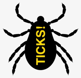 Extreme Pest Services - Tick
