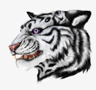 Discord - Kyubey - Siberian Tiger