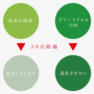 After 30 Days, Conventional Matcha → Decolorized,greeminal - Circle