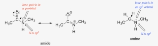 In Fact, The Latter Picture Is More Accurate - Amide Hybridization