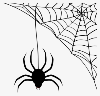 Vector - Aranha E Teia Halloween