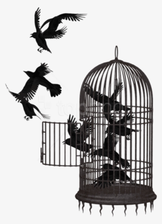 Free Png Download Cage Bird Crow Clipart Png Photo - Caged Bird Freedom Quotes