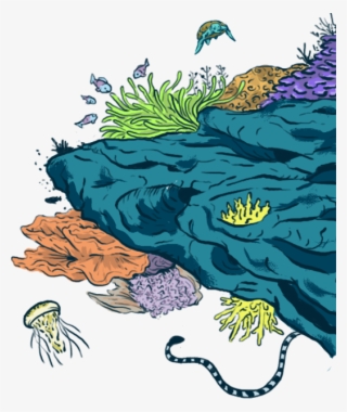 Oceans By Educating The Next Generation Of Diverse - Illustration