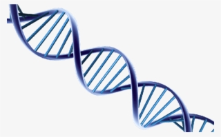 Dna Png