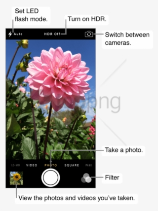 Free Png Download Iphone Camera Mode Png Images Background - 8mp Isight Camera