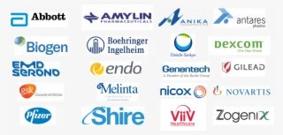Client Experience - Amylin Pharmaceuticals