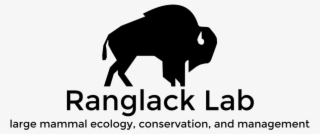 Ranglack Lab Logo Black Hires Format=1500w