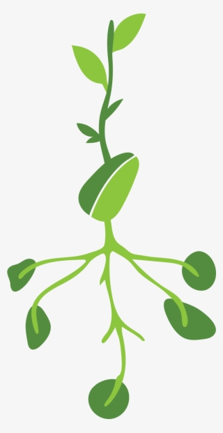 Help Cultivate Achievement