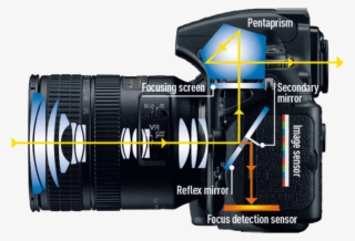 Com, Fotógrafo, Fotógrafo Lisboa Dicas De Fotografia - Mirror Reflex Camera