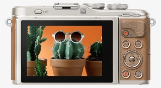 Pen E Pl8 Pgallery Bullet 9 Hl - Olympus Pen E Pl9