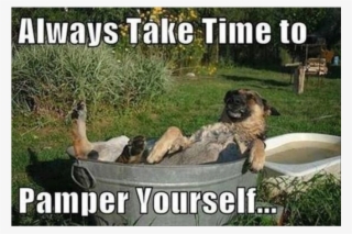 Author Cleanmemesposted On March 24, 2019 February - Take Time For Yourself Meme