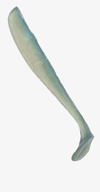 Blue Glimmer - Peniocereus Greggii