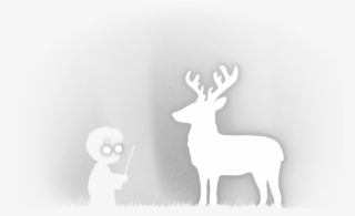 Elk
