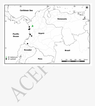 Distribution Of Manekia Betancurii And Manekia Sydowii - Aceh Party