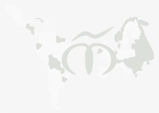 Logotipo M - Latin American Social Sciences Institute