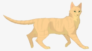 Images De Tempête De Sable - Sandstorm The Warrior Cat