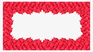 Carmine