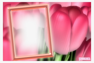 Molduras Para Fotos Flores - Flower Frames Png Free