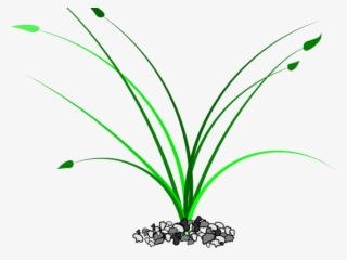 Drawn Weed Grass Patch
