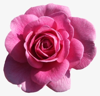 Фото, Автор Arana На Яндекс - Blue Aesthetics Tumblr Png