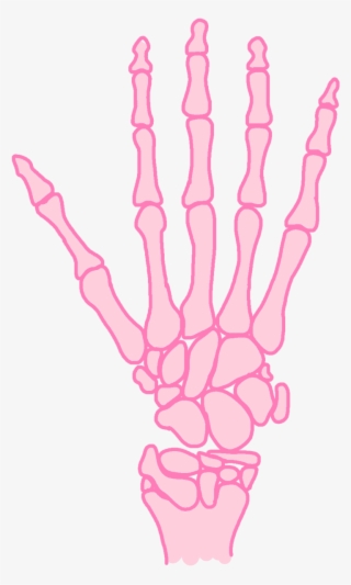 Skeleton Bones Elcorazonmuerto - Drawing