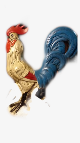 Rooster
