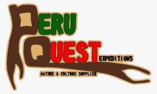 Logo Peru Questionsa-min - Graphic Design