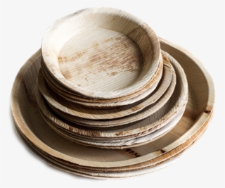 These Hygienic, Non Odorous, Non Toxic, Light Weight - Plywood