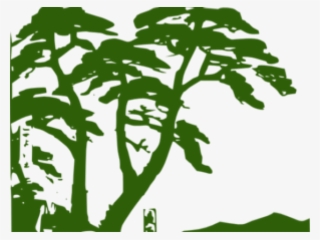 11 Rainforest Clipart Rainforest Vine Free Clip Art - Rainforest Png