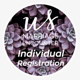 Indiv Marriage Conf - Zayn Malik