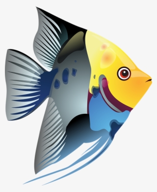 Free Tropical Fish Clipart