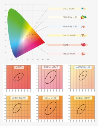Food Lighting And Light Colourations - Diagram