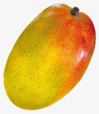 Alphonso Mango Png Pic - Seedless Fruit